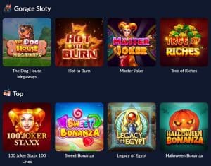 bison casino aplikacja